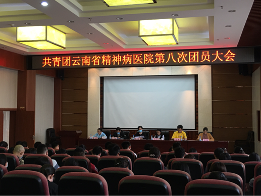共青團(tuán)云南省精神病醫(yī)院第八次團(tuán)員大會(huì)順利召開