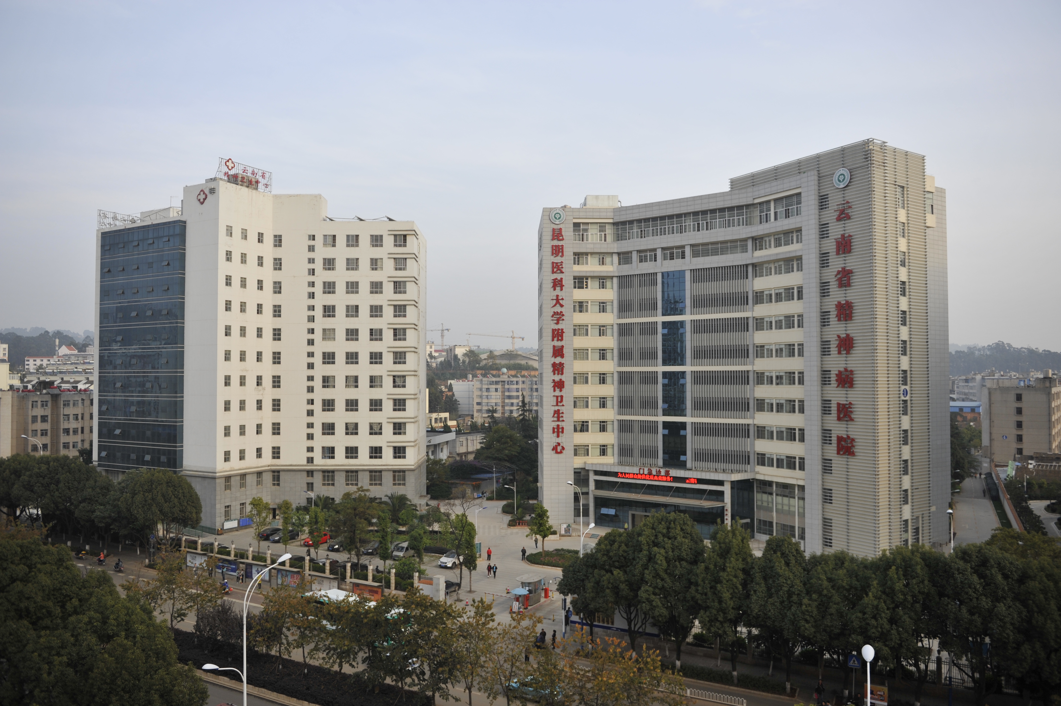 云南省精神病醫(yī)院召開2020年度黨支部書記抓黨建工作述職評(píng)議會(huì)議