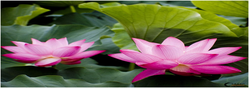 如何正確認(rèn)識更年期女性抑郁