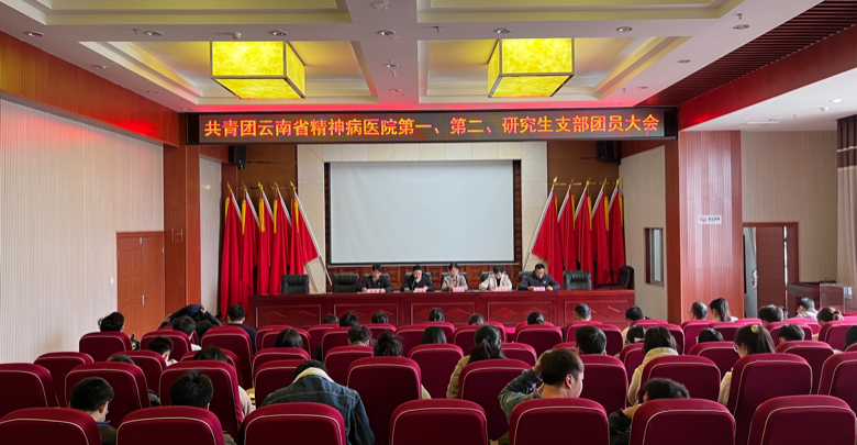 薪火相傳，青春接力——中國共產(chǎn)主義青年團云南省精神病醫(yī)院第一、第二、研究生支部委員會委員換屆選舉團員大會順利召開