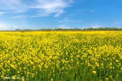 春季是心理精神疾病的高發(fā)季嗎？