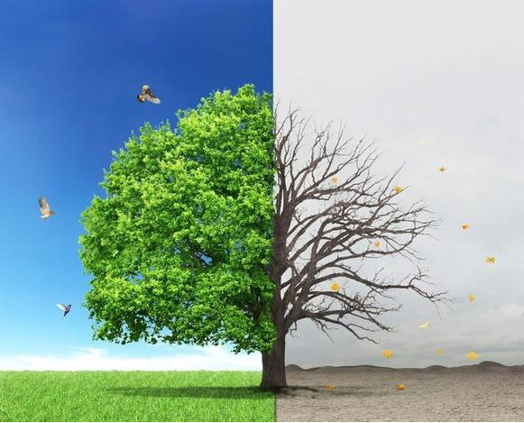 我們需要思考人生的意義嗎？