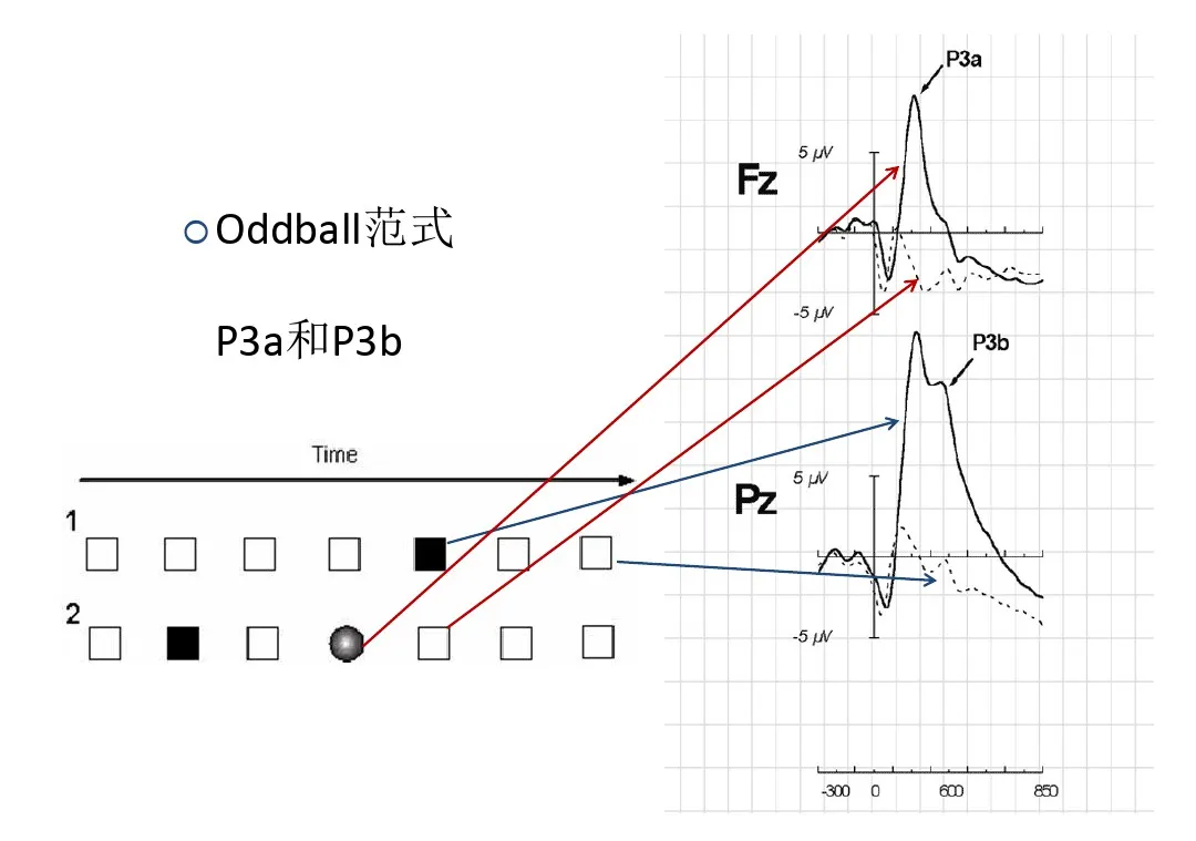 你不知道的認(rèn)知功能測試！